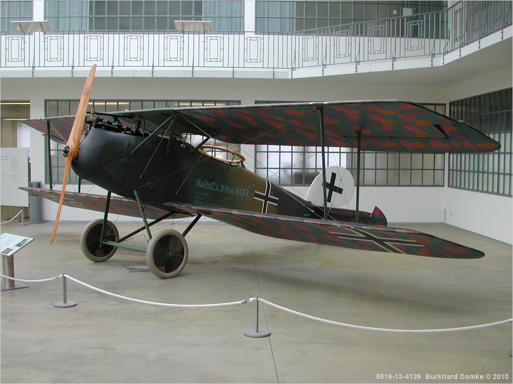 Halberstadt CL.IV s/n 8103/18